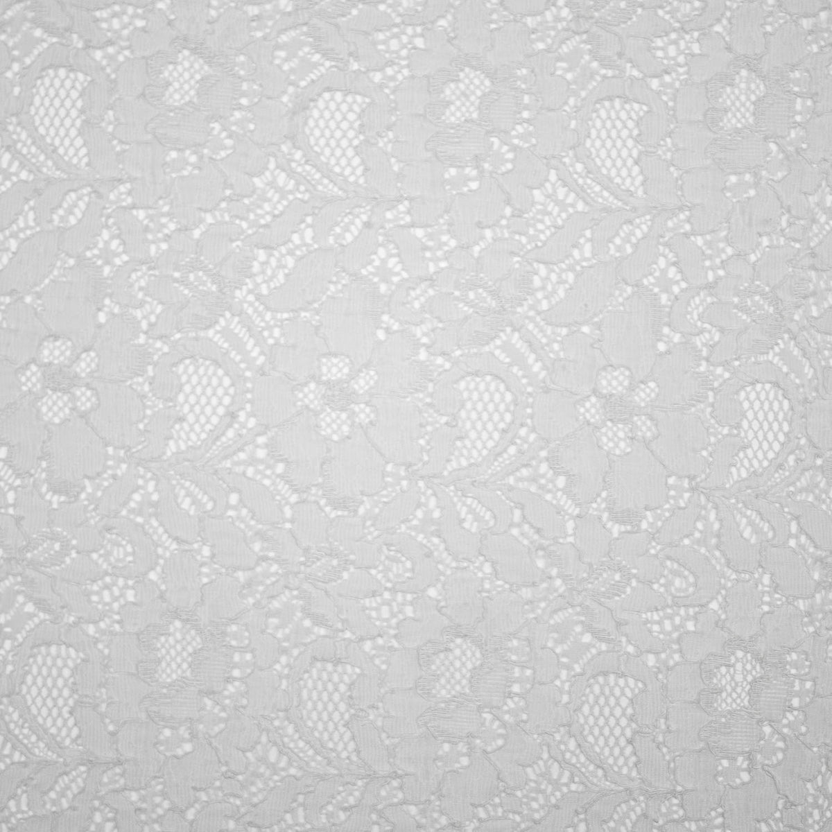 Judith White Polyester Lace