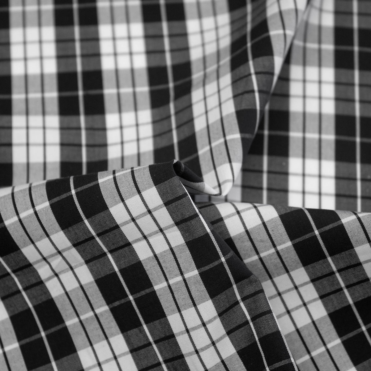 David Black Check Cotton THE FABRIC SALES